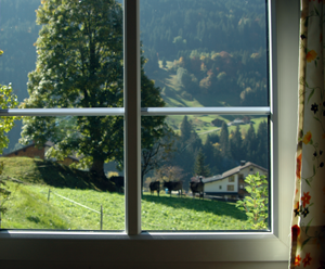 Blick aus dem Fenster